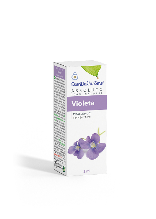 ABSOLUTO DE VIOLETA