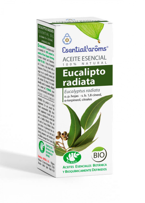 ACEITE ESENCIAL AEBBD - Eucalipto Radiata