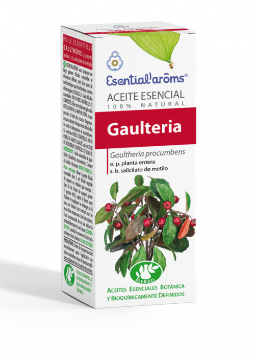 ACEITE ESENCIAL AEBBD - Gaulteria (Wintergreen)